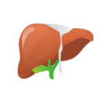 Tylenol in Cirrhosis