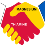 Thiamine & Magnesium Handshake