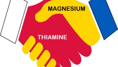 Thiamine & Magnesium Handshake