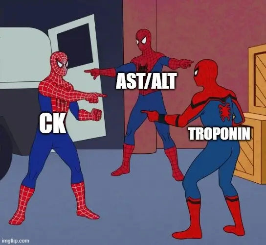 AST ALT connection with CK and Troponin